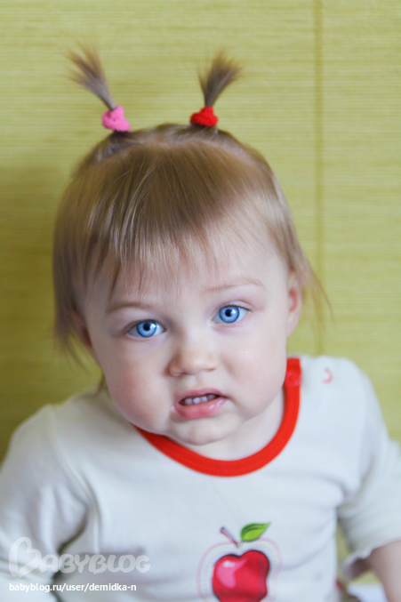 Фотография 1