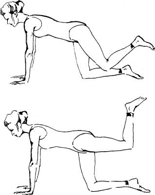 Упражнение мостик для ягодиц. Упражнения стоя на четвереньках. Махи на четвереньках согнутой ногой. Упражнение мостик для ягодиц. Упражнения х образные ноги.