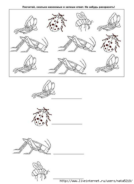 Картинки задания насекомые