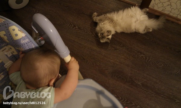 Папе. ПрокАтовское