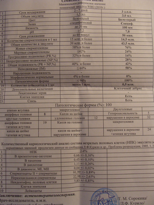 Спермограмма результаты расшифровка