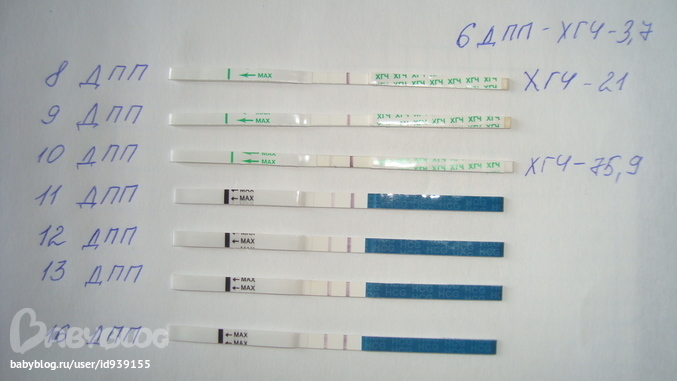 Розовые выделения после переноса. Тесты после подсадки эмбрионов. Тесты после переноса эко. После подсадки эмбриона коричневые выделения. Тест на беременность после эко.
