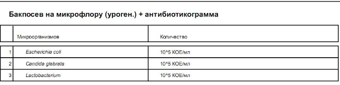 Посев мочи при беременности нормы. Бак посев мочи ОМЧ 10. Бакпосев мочи при беременности норма. Бак посев мочи норма. Результат бакпосева мочи.